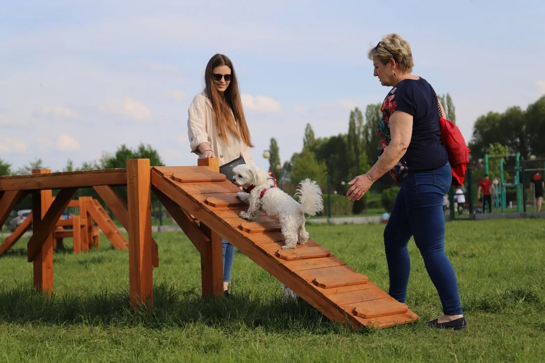 W Łęczycy powstanie wybieg dla psów?