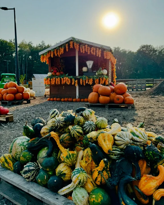 Dobronianka - miejsce na jednodniową wycieczkę