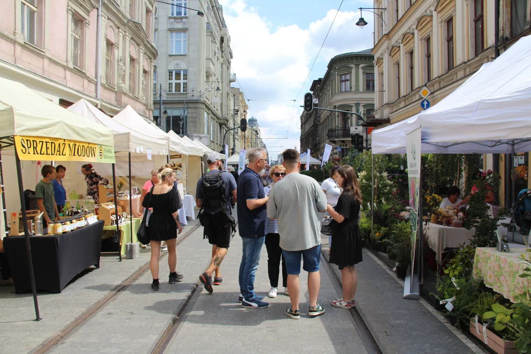 Huczne urodziny Łodzi na ul. Piotrkowskiej