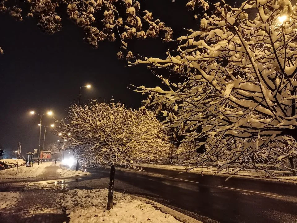 Śnieżna galeria ze Zgierza i Sokolnik-Lasu