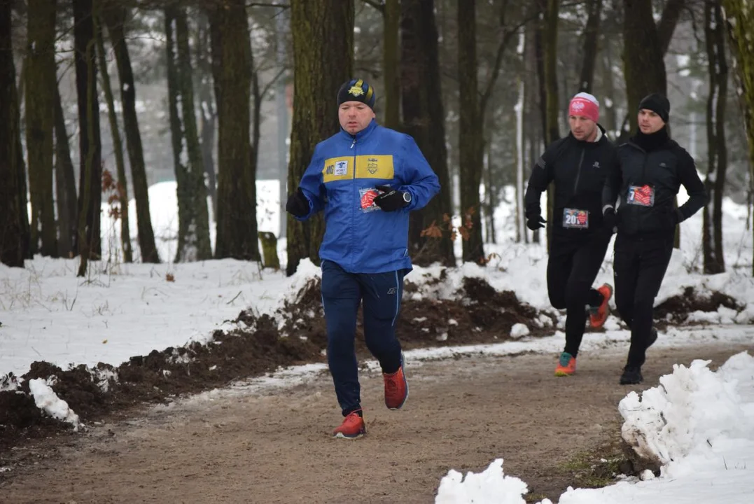 Aleksandrowski Bieg i Marsz Chomika dla WOŚP