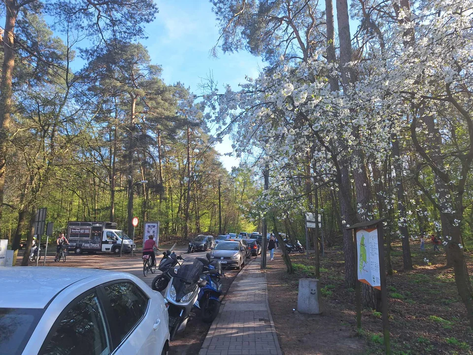 Tłumy na Arturówku. Kierowcy zablokowali autobusy. Interweniowała straż miejska