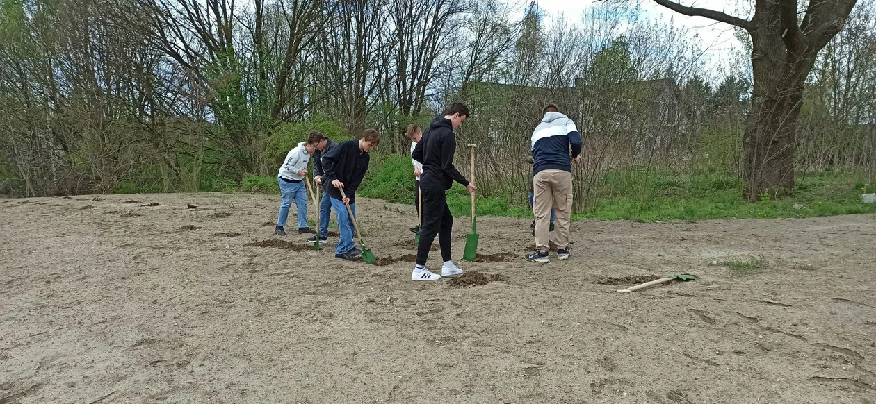 Sadzenie drzewek w Zgierzu