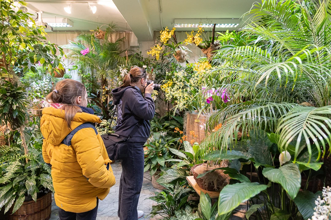 Tajemniczy świat storczyków w Ogrodzie Botanicznym w Łodzi