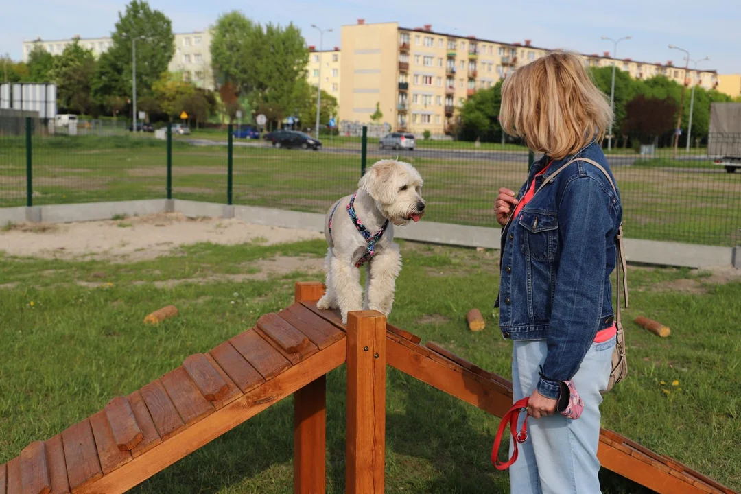 W Łęczycy powstanie wybieg dla psów?