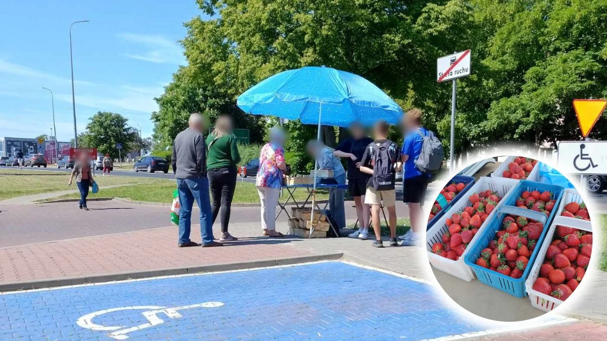 Stoiska z truskawkami w Kutnie. Odwiedzamy kilka miejsc, jakie są ceny? [ZDJĘCIA] - Zdjęcie główne