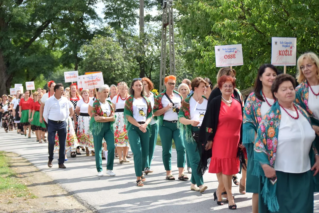 Dożynki gminy Stryków w Warszewicach