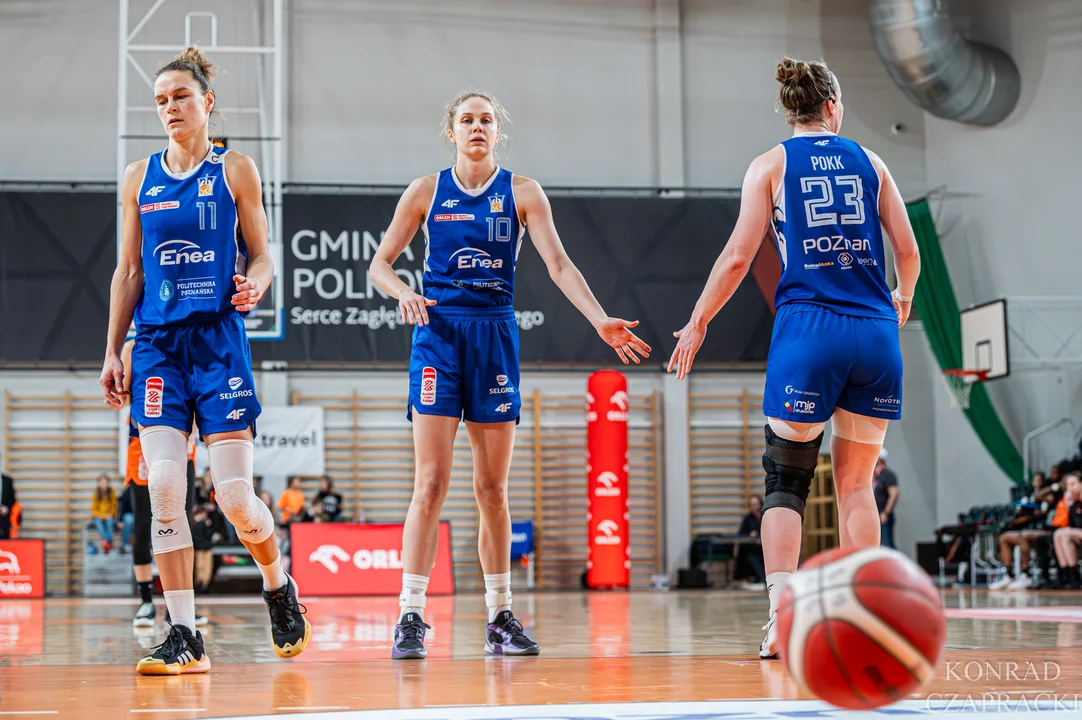 Enea AZS Politechnika Poznań vs VBW Gdynia