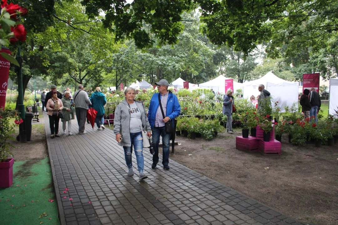 Trwa Święto Róży. Sporo osób odwiedza park Traugutta