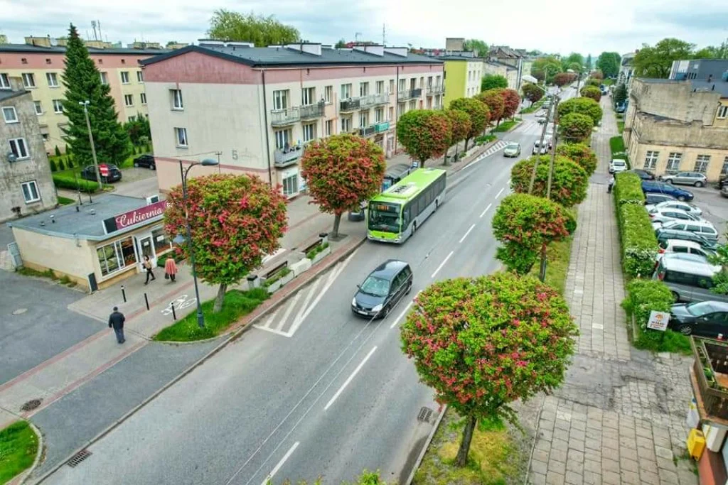 Galeria zdjęć Zgierza oczami jego mieszkańców. Niektóre kadry są naprawdę piękne [galeria]