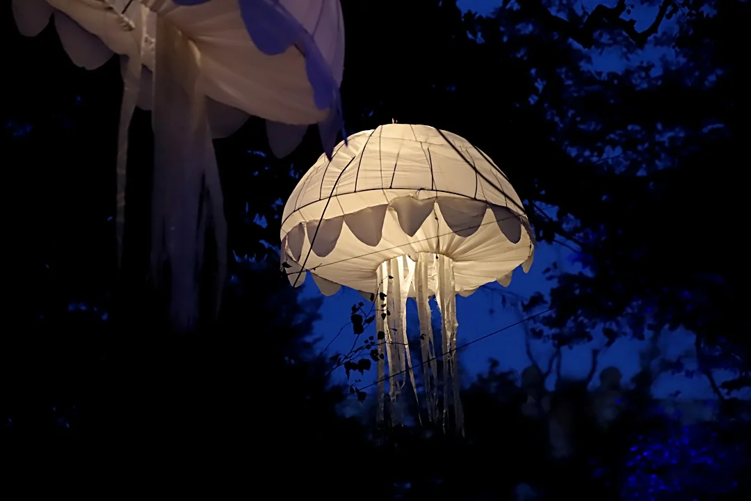 Light Move Festival 2025 – muzyczny drugi dzień
