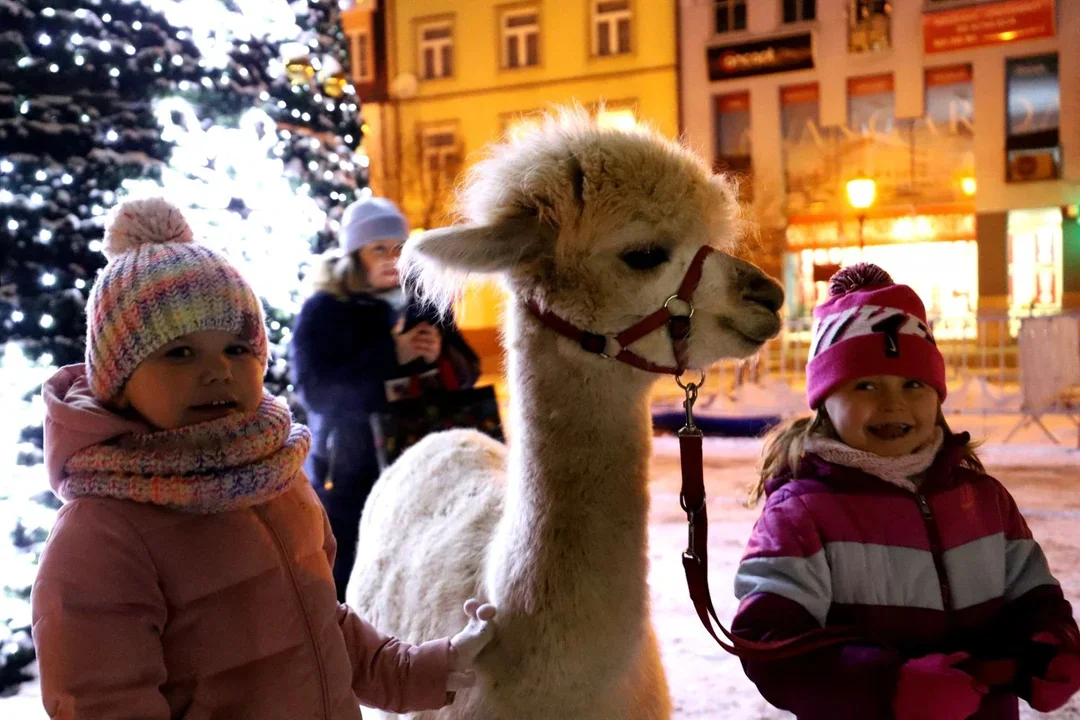 Już dziś (6.12) oficjalne uruchomienie iluminacji świątecznych w Kutnie