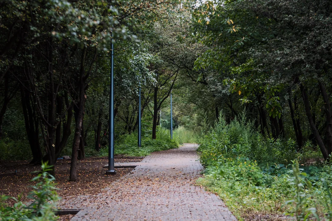Nowy park w Płocku
