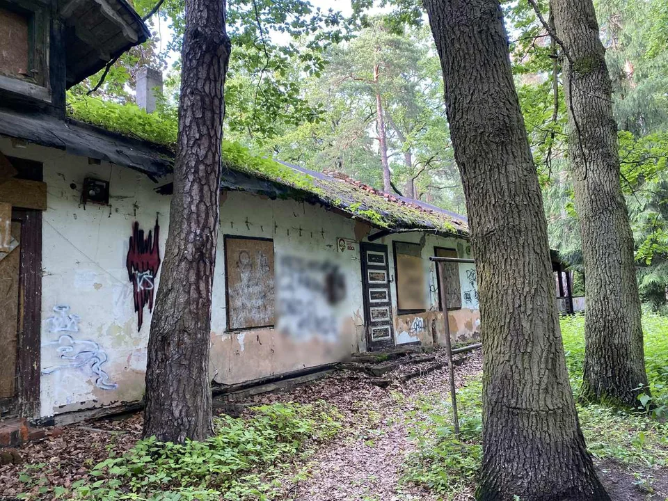 Cyganka w Parku Julianowskim wymaga gruntownego remontu