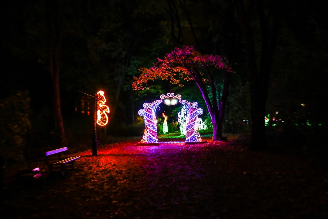 Park Miliona Świateł znów dostępny dla odwiedzających