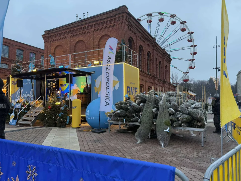 Choinka pod choinkę. Małopolska akcja w Manufakturze, 11.12.2024 r.