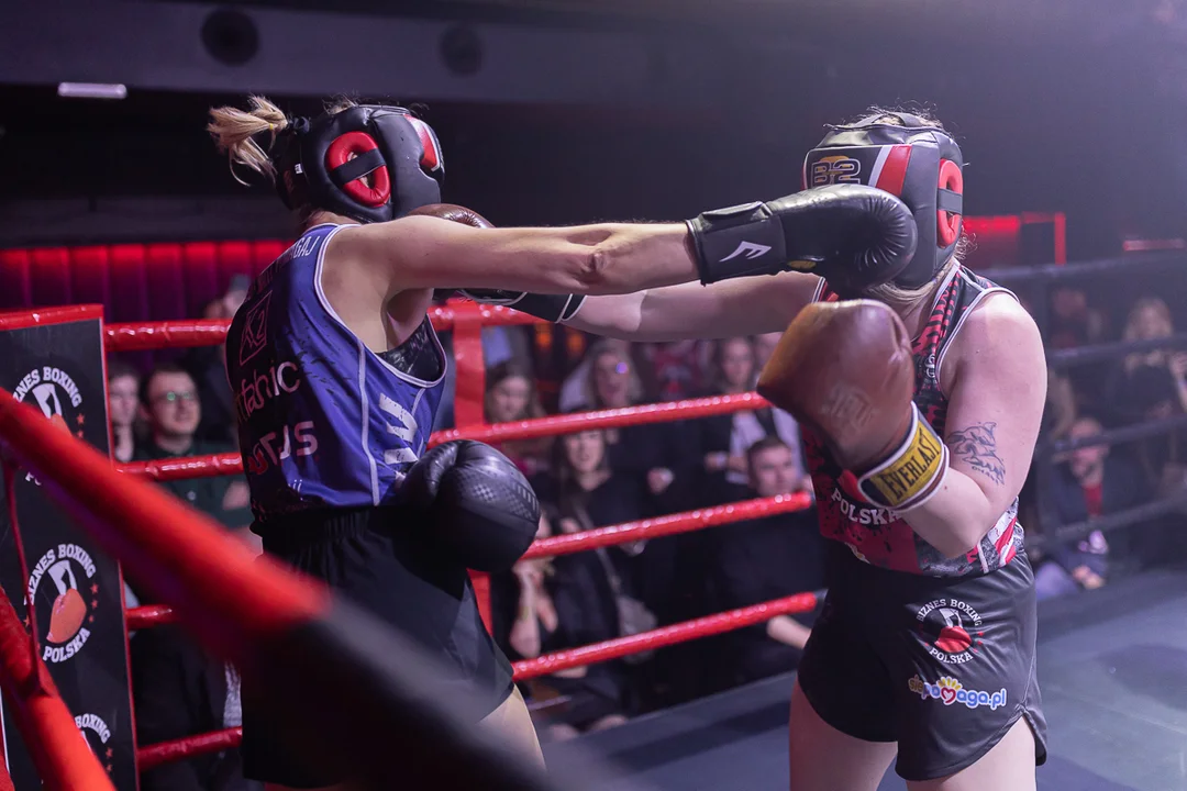 Biznes Boxing Polska - gala w Łodzi