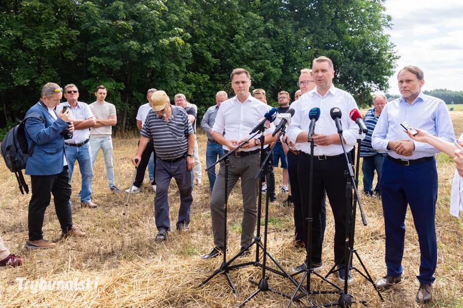Czarnek w Kolonii Szydłów