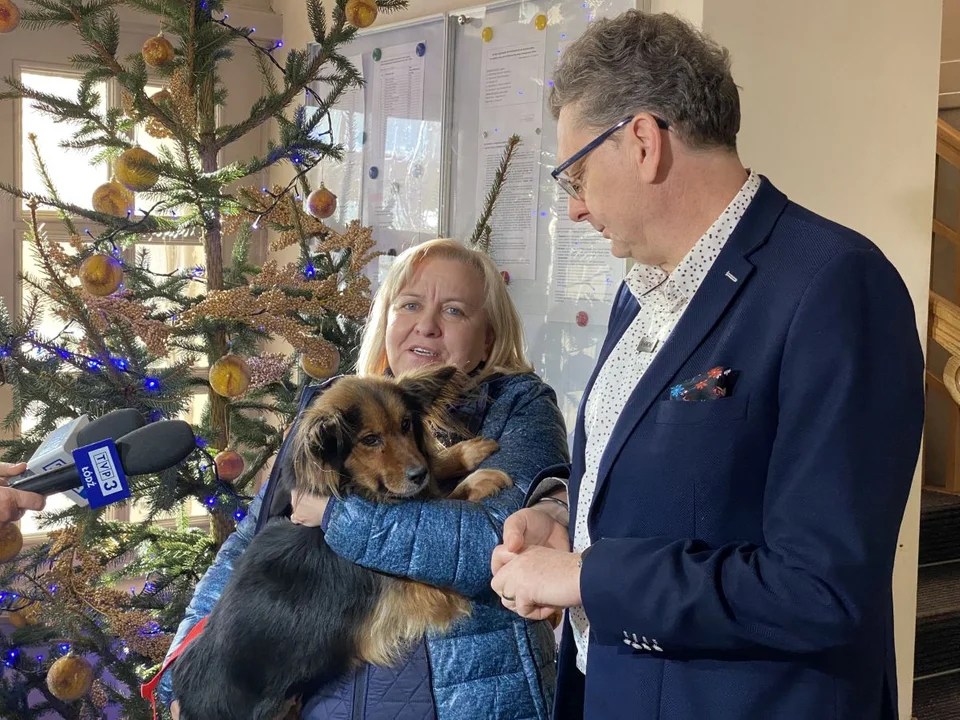 Ośmioletnia Kesa zamieszkała w aleksandrowskim urzędzie