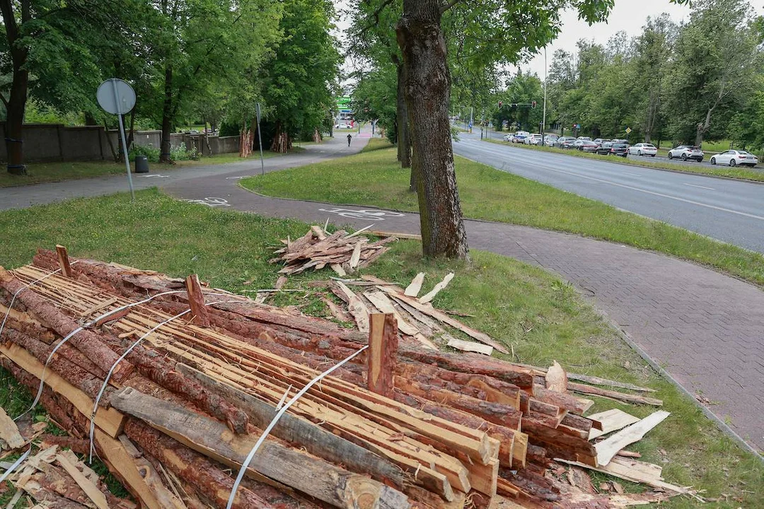 Przygotowania do remontu drogi rowerowej na al. Palki w Łodzi