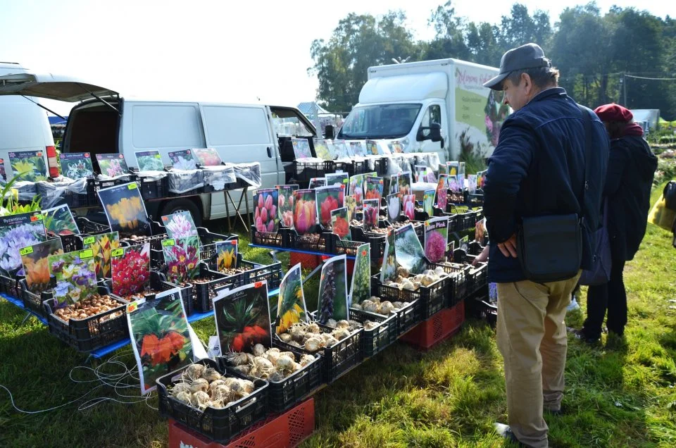 Na straganach znaleźć można było m. in. swojskie wędliny, pieczywo czy miody