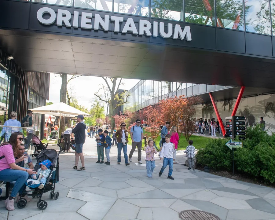 Tłumy w Orientarium w Łodzi