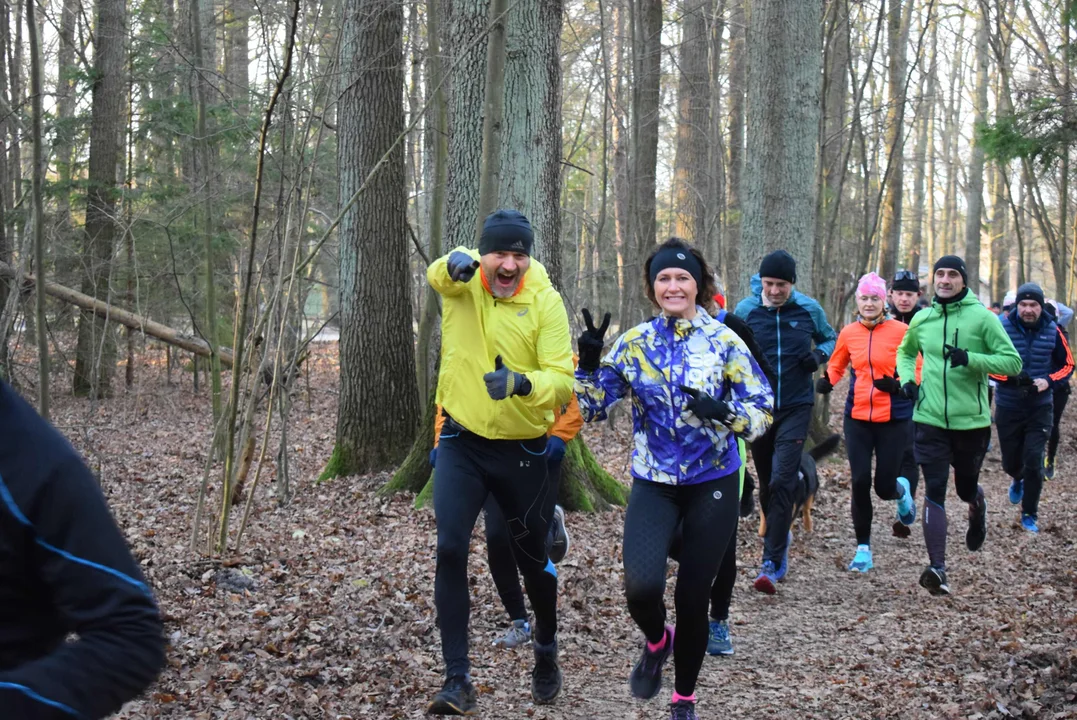 Parkrun w Lesie Łagiewnickim