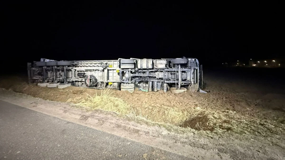 Ciężarówka przewożąca zwierzęta przewróciła się na bok. Akcja służb trwała kilka godzin