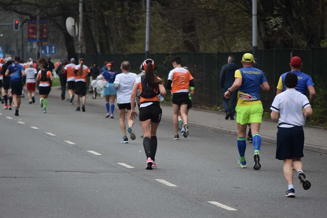 DOZ Maraton ulicami miasta. Zobacz zdjęcia z biegu głównego