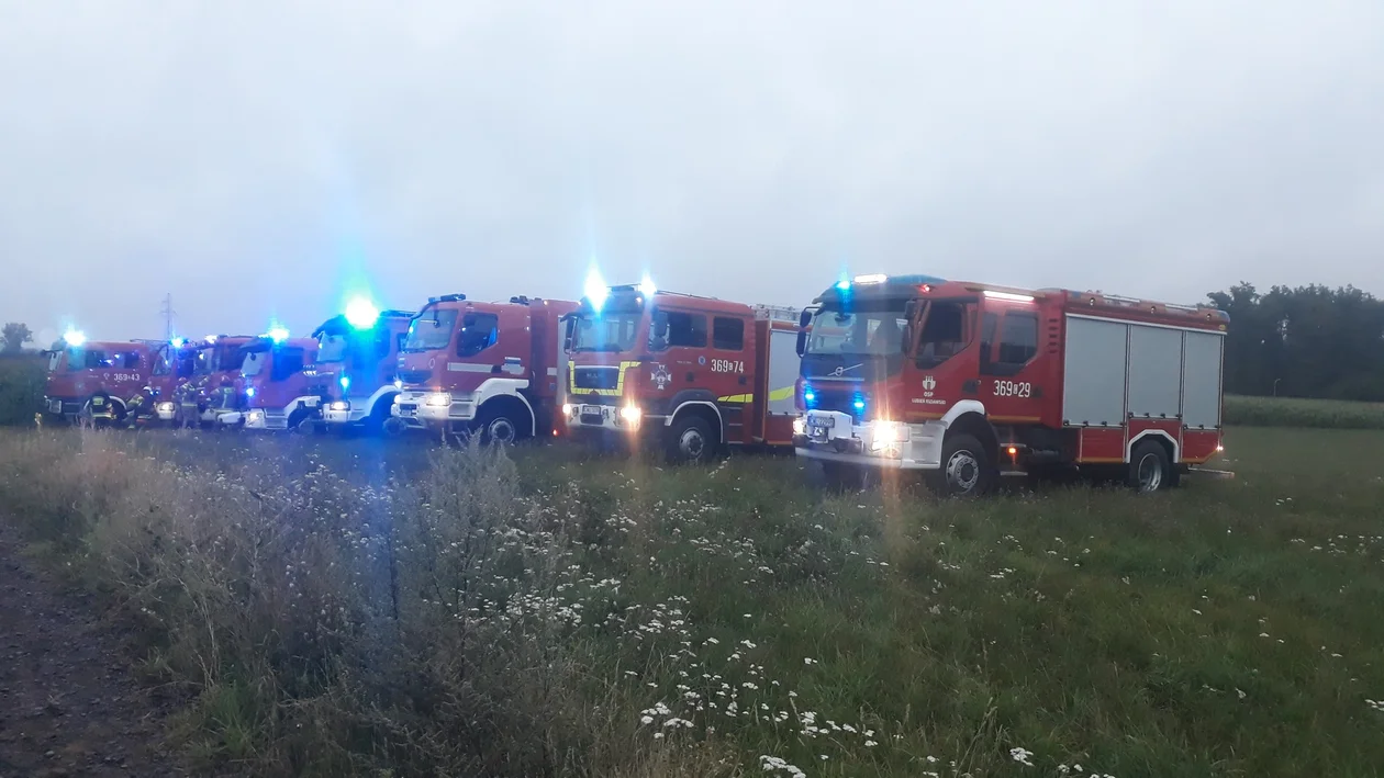 Z rurociągu w sąsiedniej gminie wyciekała ropa. "Dążymy do tego, by oczyścić teren" [ZDJĘCIA] - Zdjęcie główne