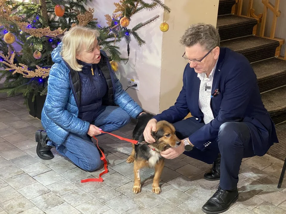 Ośmioletnia Kesa zamieszkała w aleksandrowskim urzędzie