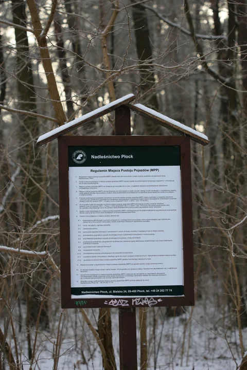 Zdewastowana wiata leśna