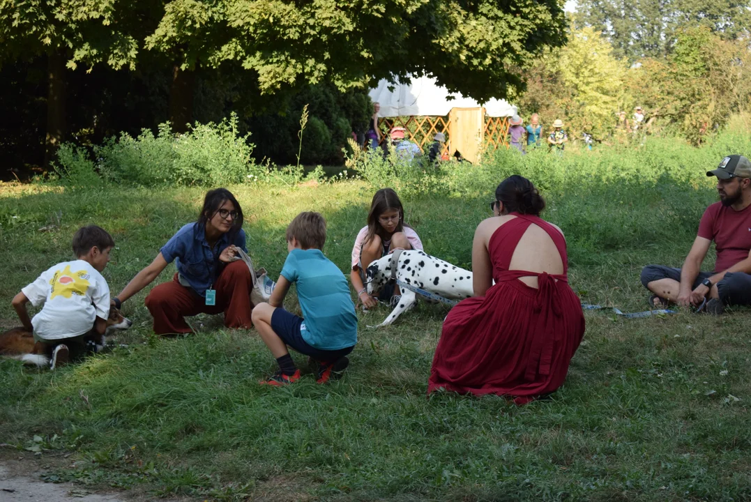 Piknik międzypokoleniowy w Parku Ocalałych w Łodzi