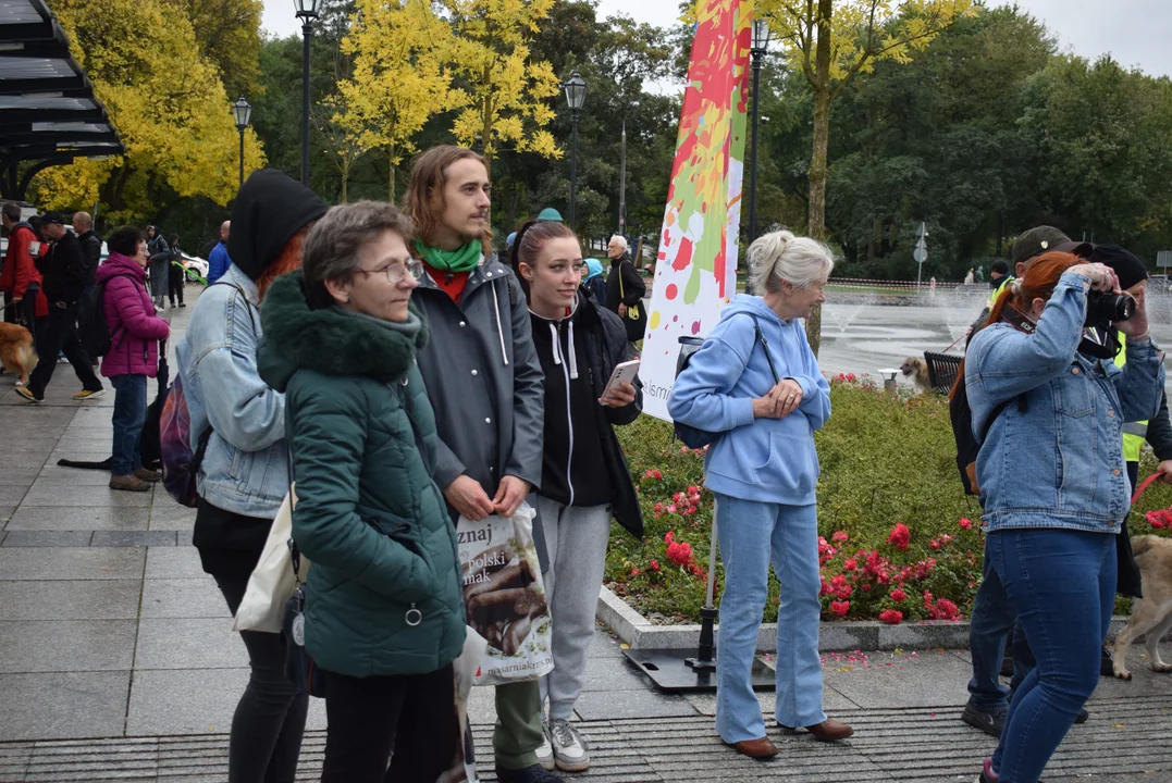 Światowy Dzień Zwierząt w Łodzi