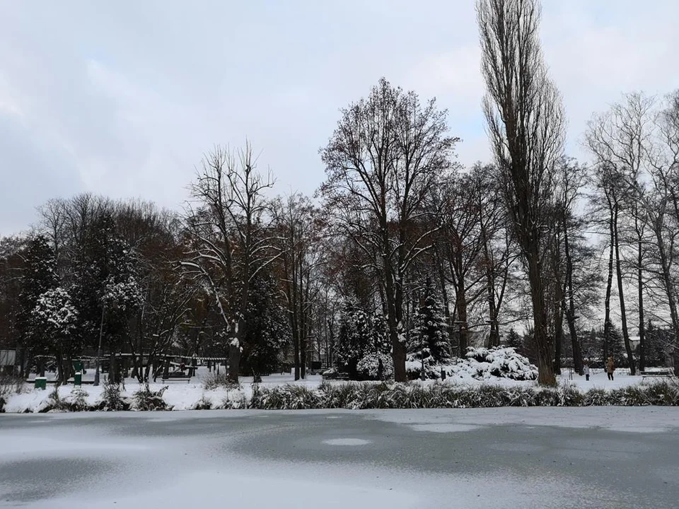 Zima zagościła w Parku Miejskim