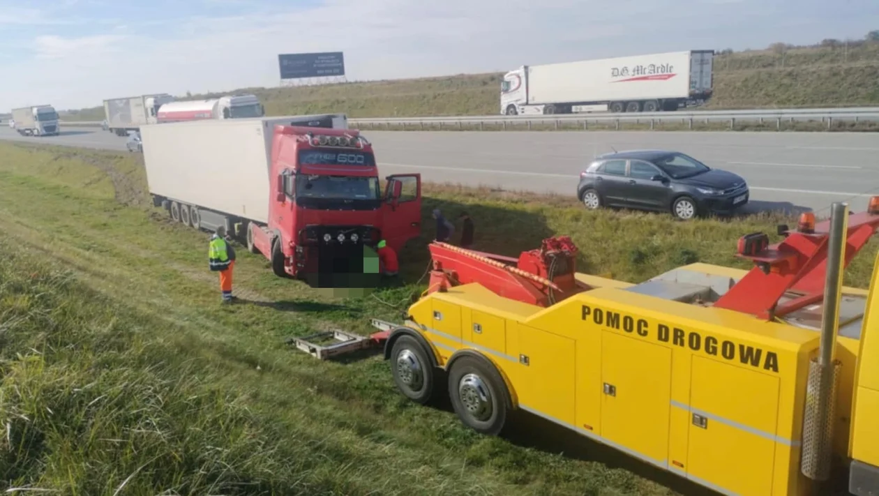 Utrudnienia na autostradzie A1. Wszystko przez sarnę [ZDJĘCIA] - Zdjęcie główne