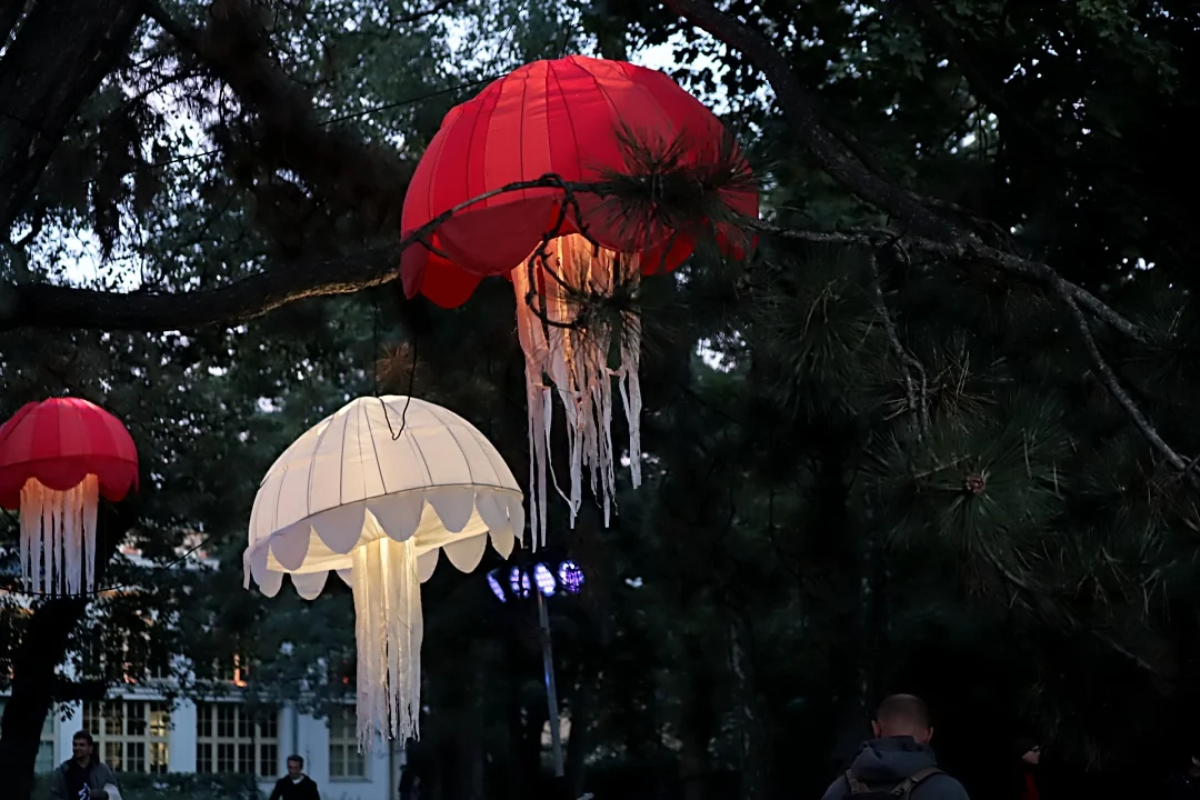 Light Move Festival 2025 – muzyczny drugi dzień