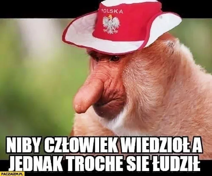 Memy po meczu Polska - Francja