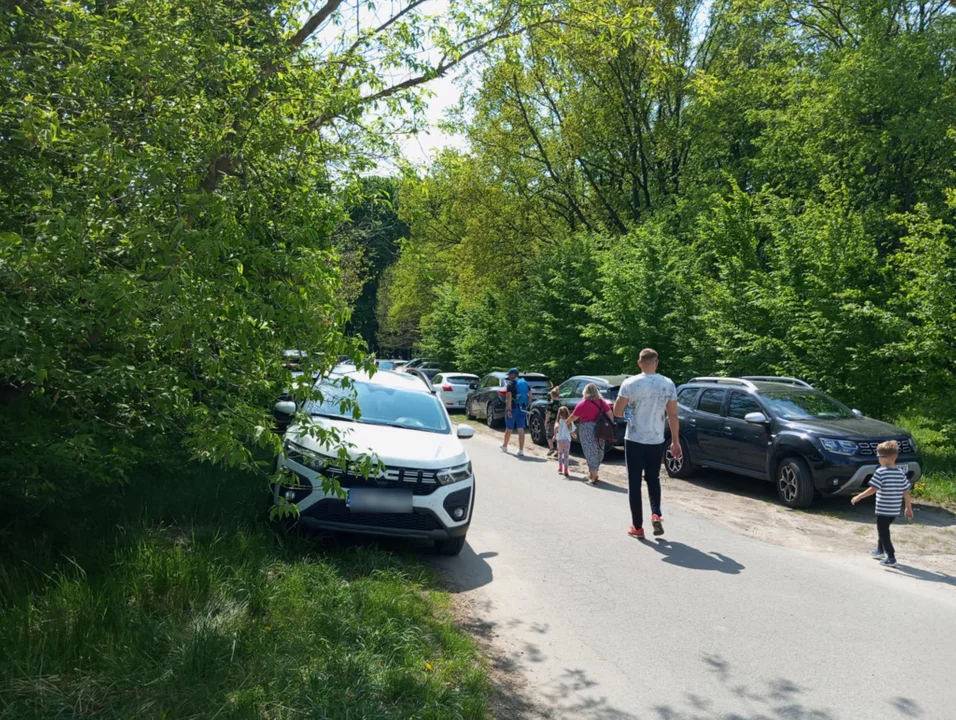 Majówka w parku na Młynku
