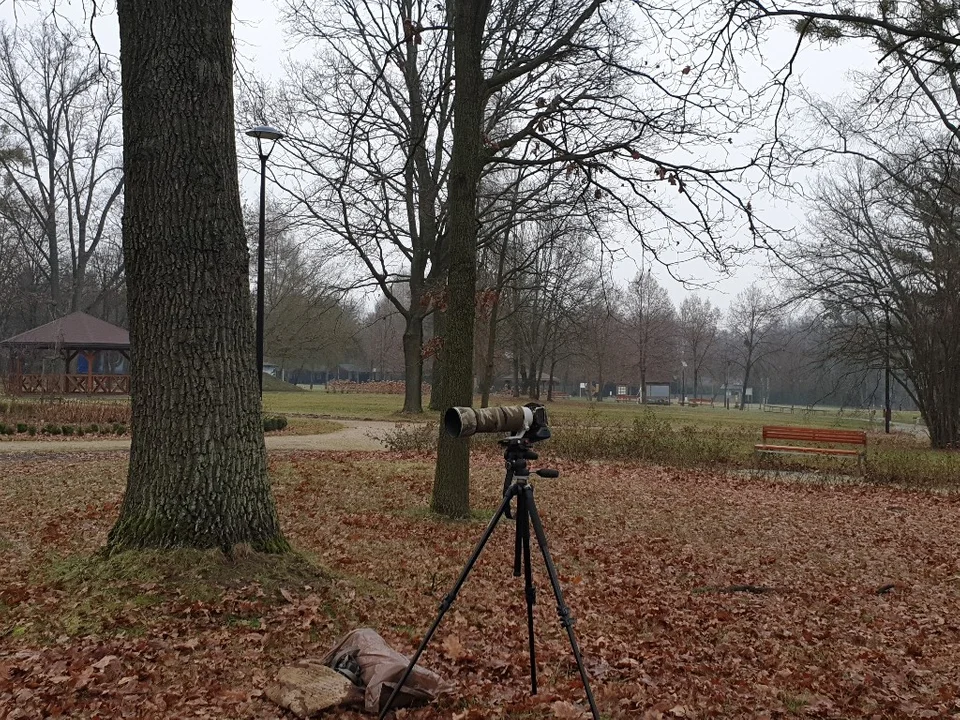 Warsztaty fotograficzne w Dzierżąznej