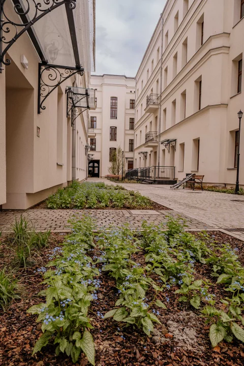 Kamienice przy Wschodniej w Łodzi po modernizacji