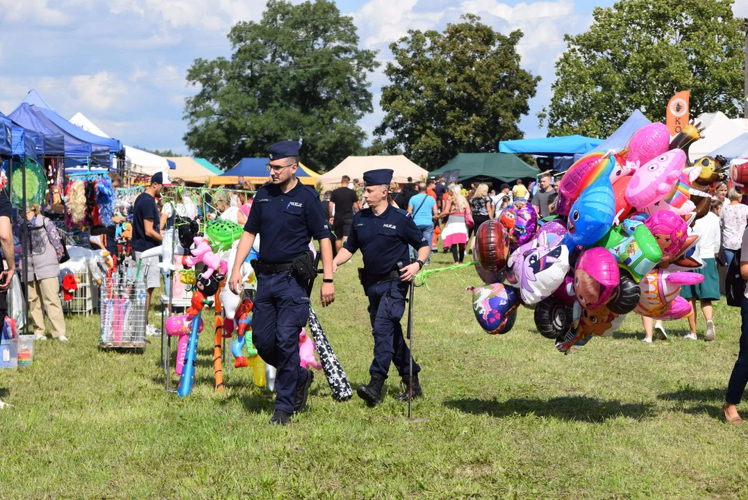 Dożynki gminy Stryków w Warszewicach