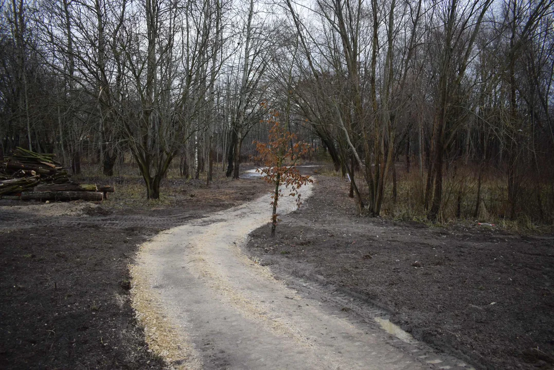 Powstaje nowy park w Zgierzu. Mieszkańcy martwią się o wygląd nowej inwestycji [ZDJĘCIA] - Zdjęcie główne