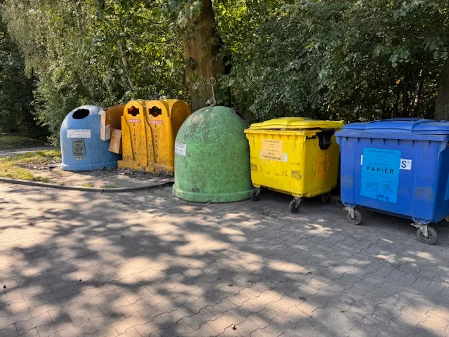 Szczury na Kuraku