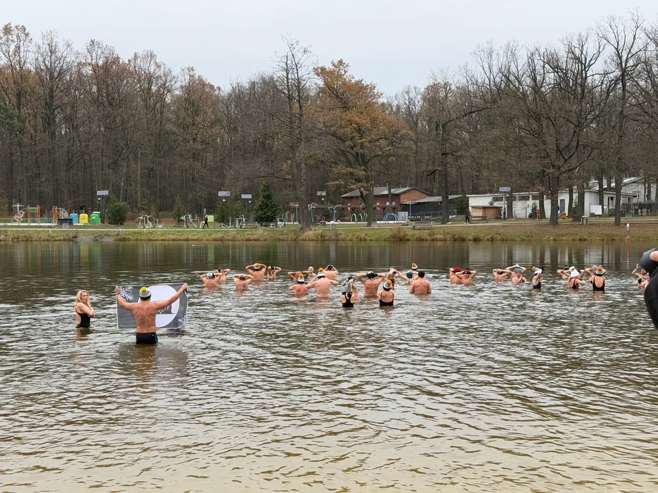 Morsy w Arturówku — Łódź, 24.11.2024 r.