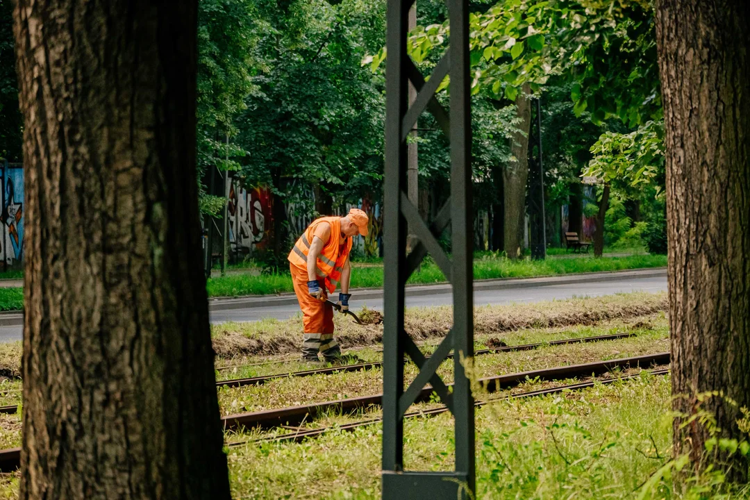 14 dni do powrotu tramwajów na trasę Łódź - Konstantynów