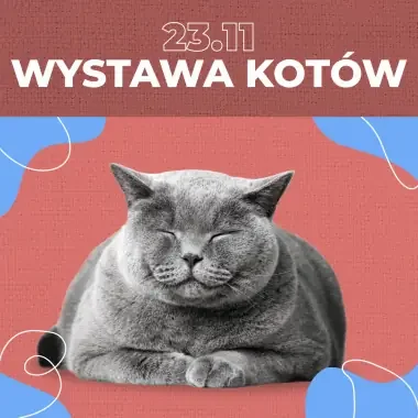Weekend w Gdańsku: Jarmark, łyżwy i mecz – sprawdź, co warto zobaczyć