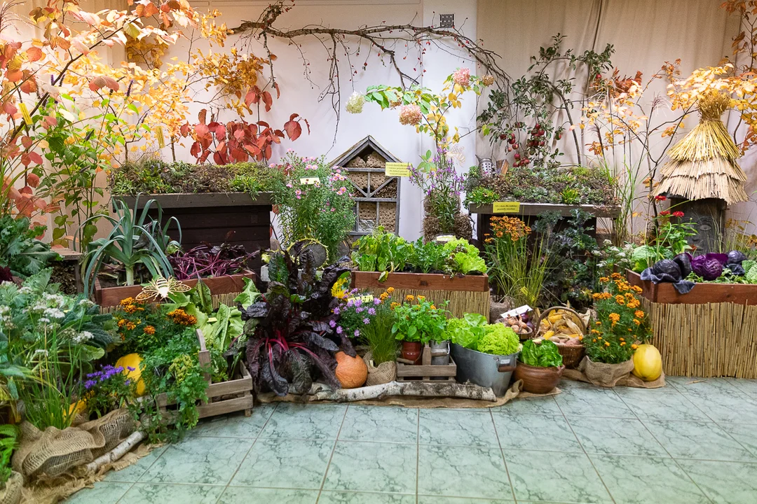 Łodzianie obejrzeli tematyczną, jesienną wystawę w Ogrodzie Botanicznym.