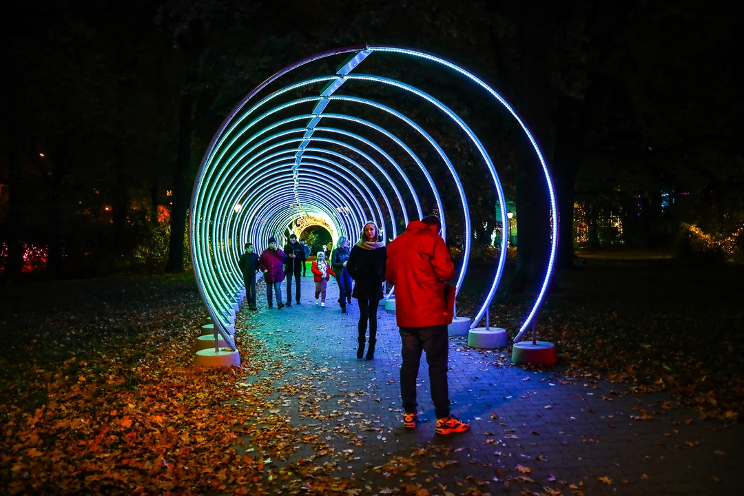 Park Miliona Świateł znów dostępny dla odwiedzających