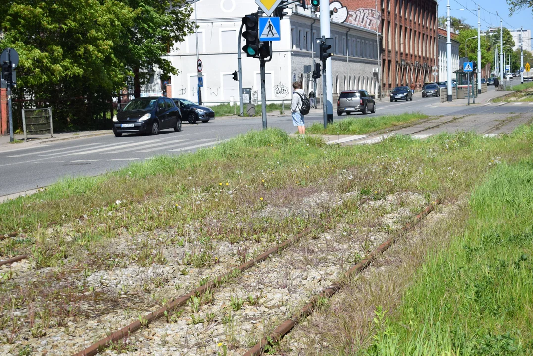 Już jutro powrót tramwajów na zamknięty odcinek Kilińskiego